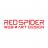 RedSpider Web and Art Design